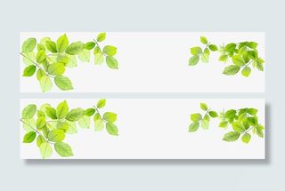 手绘绿色春天树叶装饰免抠