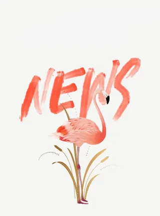 手绘英文艺术字装饰免抠