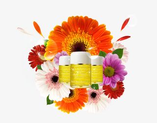 太阳花蜂蜜免抠