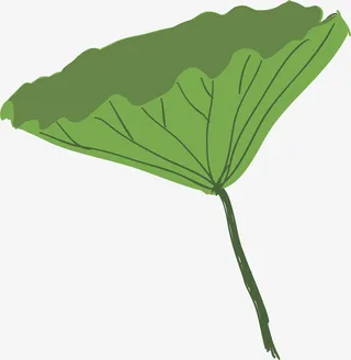 卡通立夏荷叶装饰插画免抠