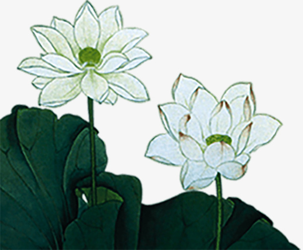 漂浮元素花3免抠