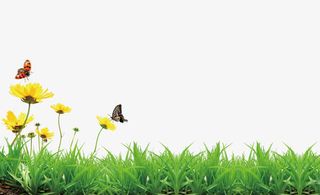 春景免抠背景摄影风景元素