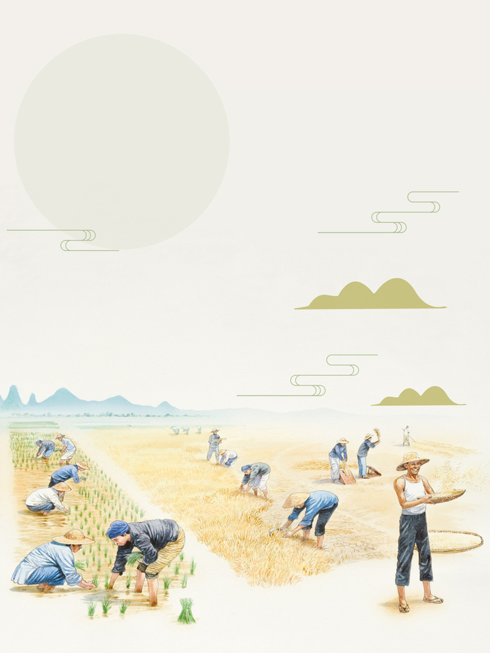 简约插画风芒种节气海报高清