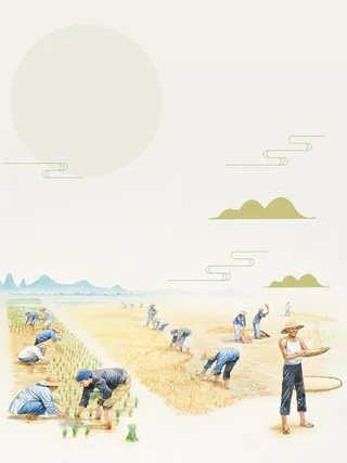 简约插画风芒种节气海报高清