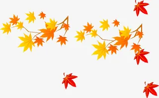 枫叶免抠