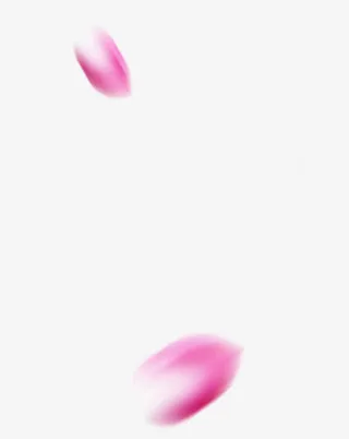 花瓣运动粉红花瓣漂浮免抠
