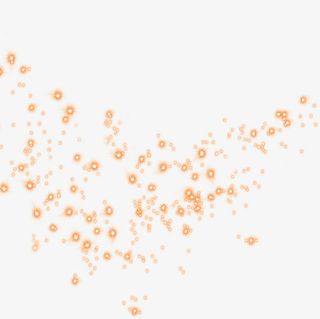 金色星光开业酬宾免抠