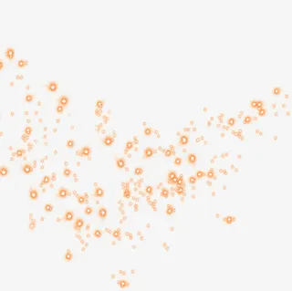 金色星光开业酬宾免抠