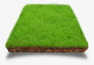 草坪小草青青矩形免抠