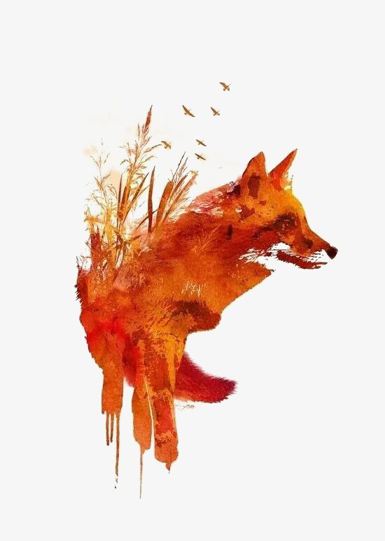 手绘狐狸免抠