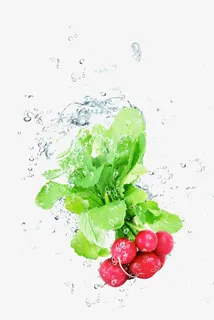 被水围绕的萝卜免抠