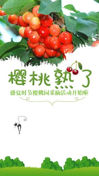 绿色春天樱桃背景高清