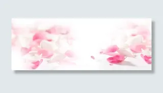 美丽女人花瓣背景