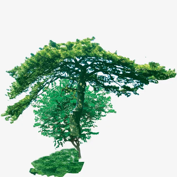 绿树免抠