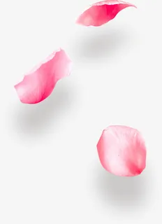 花瓣免抠