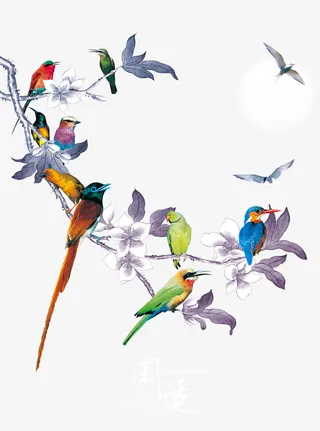 彩色鸟儿树枝免抠