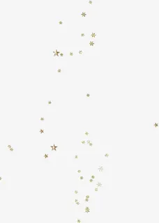 金属质感星星素材免抠
