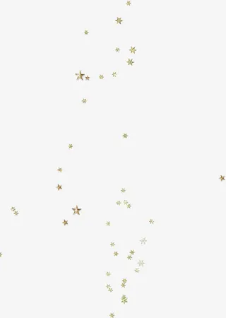 金属质感星星素材免抠