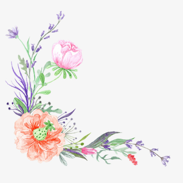 蜀葵花朵彩绘免抠