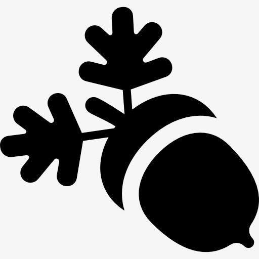 Acorn 图标免抠