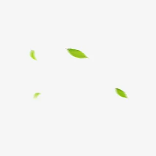 漂浮绿叶免抠