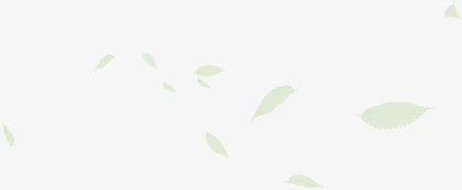 春天羽毛童装主页装修免抠漂浮叶子元素