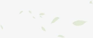 春天羽毛童装主页装修免抠漂浮叶子元素