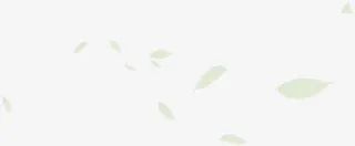 春天羽毛童装主页装修免抠漂浮叶子元素
