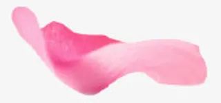 粉色飘舞卷曲花瓣免抠