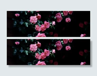 淘宝优雅女装广告免抠