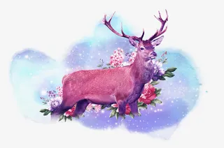 梅花鹿牡丹免抠