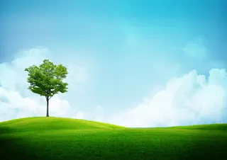 绿意春天海报设计免抠