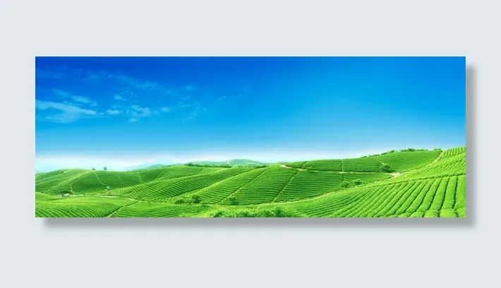 绿色农田风景海报免抠