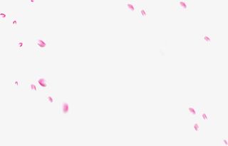 浪美唯美花瓣底纹免抠