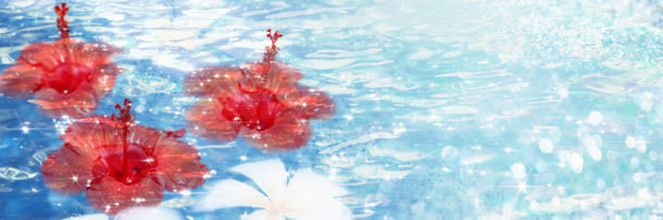 唯美花瓣banner背景