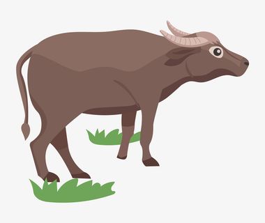 手绘春分春牛插画免抠其他元素