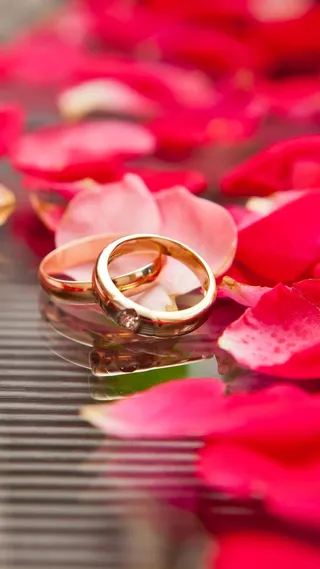 摄影婚庆H5背景素材高清