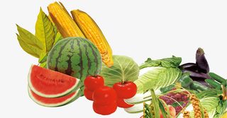 免扣水果素材素材免抠