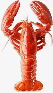 美食大龙虾免抠 美食大龙虾免抠