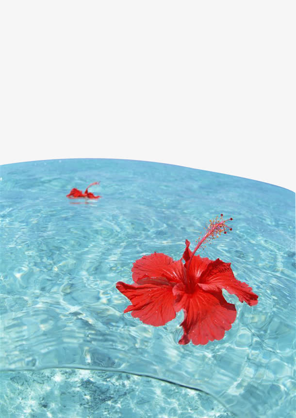 海滩风景-漂浮的红色花朵免抠