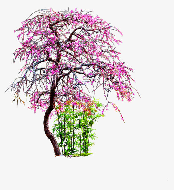 桃花树嫩绿草装饰图案免抠
