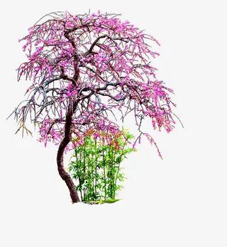 桃花树嫩绿草装饰图案免抠