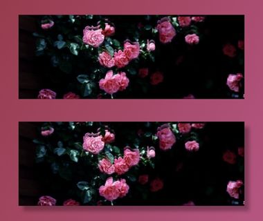 唯美花朵背景免抠