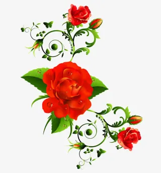 玫瑰花花藤边框免抠