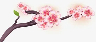 矢量唯美梅花免抠