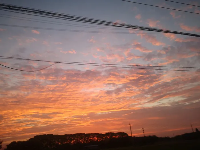 夏日夕阳红落霞高清