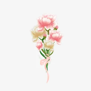 520康乃馨花束免抠