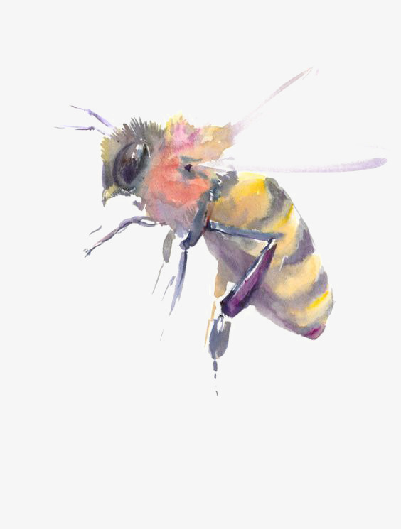 蜜蜂免抠
