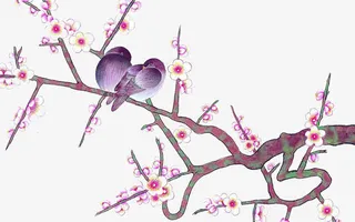 梅花上的小鸟免抠