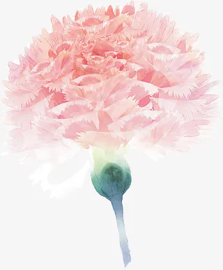 粉色康乃馨电视背景